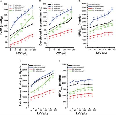 Preservation solution Custodiol containing human alpha-1-antitrypsin improves graft recovery after prolonged cold ischemic storage in a rat model of heart transplantation